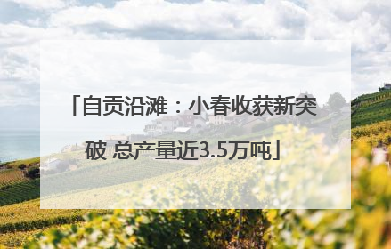 自贡沿滩：小春收获新突破 总产量近3.5万吨