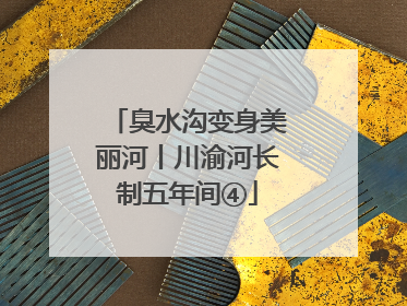 臭水沟变身美丽河丨川渝河长制五年间④