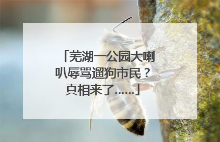 芜湖一公园大喇叭辱骂遛狗市民？真相来了……