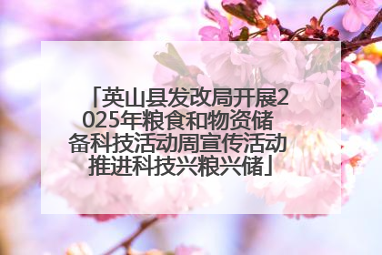 英山县发改局开展2025年粮食和物资储备科技活动周宣传活动 推进科技兴粮兴储