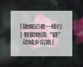 融媒记者一线行｜智能物流“链”动城乡富路