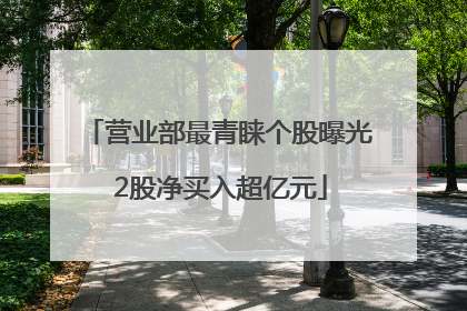 营业部最青睐个股曝光 2股净买入超亿元