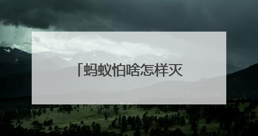 蚂蚁怕啥怎样灭蚂蚁不留痕？蚂蚁用什么药能彻底消灭？答案在这！