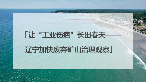 让“工业伤疤”长出春天——辽宁加快废弃矿山治理观察