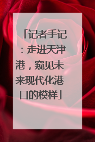 记者手记：走进天津港，窥见未来现代化港口的模样