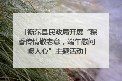 衡东县民政局开展“粽香传情敬老意，端午慰问暖人心”主题活动