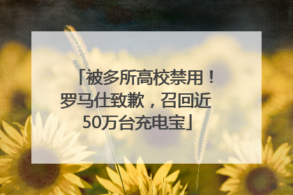 被多所高校禁用！罗马仕致歉，召回近50万台充电宝