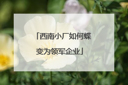 西南小厂如何蝶变为领军企业