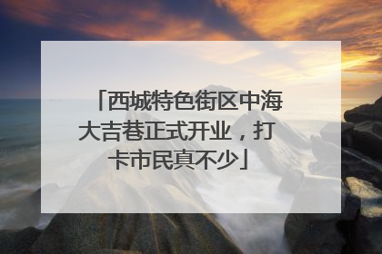 西城特色街区中海大吉巷正式开业，打卡市民真不少