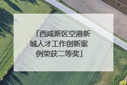 西咸新区空港新城人才工作创新案例荣获二等奖
