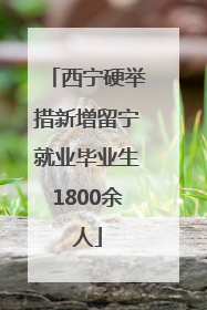 西宁硬举措新增留宁就业毕业生1800余人