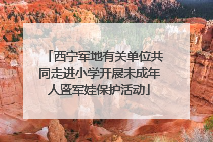 西宁军地有关单位共同走进小学开展未成年人暨军娃保护活动