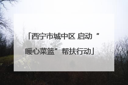 西宁市城中区 启动“暖心菜篮”帮扶行动