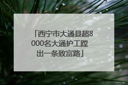 西宁市大通县超8000名大通护工蹚出一条致富路