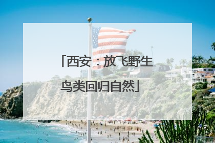 西安：放飞野生鸟类回归自然