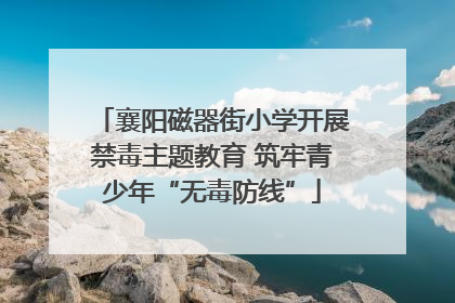 襄阳磁器街小学开展禁毒主题教育 筑牢青少年“无毒防线”