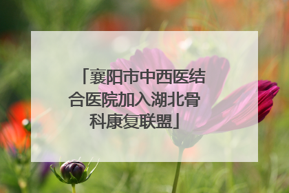 襄阳市中西医结合医院加入湖北骨科康复联盟