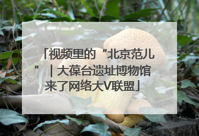 视频里的“北京范儿”｜大葆台遗址博物馆来了网络大V联盟