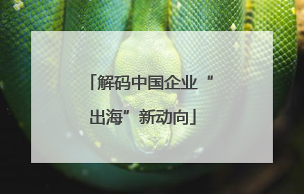 解码中国企业“出海”新动向