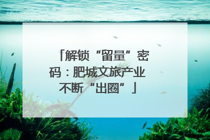 解锁“留量”密码：肥城文旅产业不断“出圈”