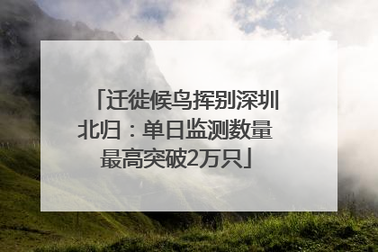 迁徙候鸟挥别深圳北归：单日监测数量最高突破2万只