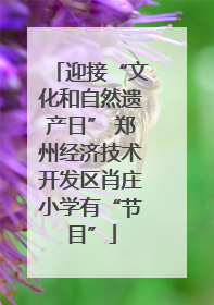 迎接“文化和自然遗产日” 郑州经济技术开发区肖庄小学有“节目”
