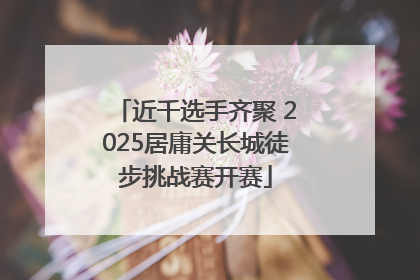 近千选手齐聚 2025居庸关长城徒步挑战赛开赛