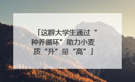 这群大学生通过“种养循环”助力小麦质“升”量“高”