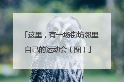 这里，有一场街坊邻里自己的运动会（图）