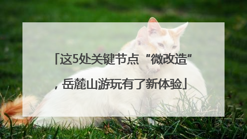 这5处关键节点“微改造”，岳麓山游玩有了新体验