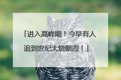 进入高峰期！今早有人追到世纪大烧朝霞！