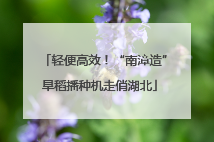 轻便高效！“南漳造”旱稻播种机走俏湖北
