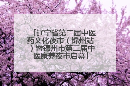 辽宁省第二届中医药文化夜市（锦州站）暨锦州市第二届中医康养夜市启幕