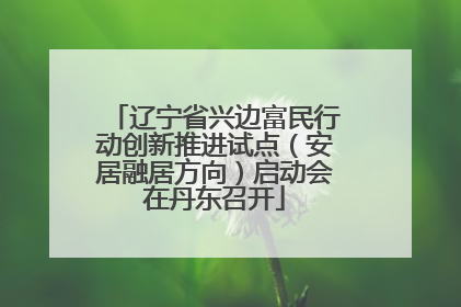辽宁省兴边富民行动创新推进试点（安居融居方向）启动会在丹东召开
