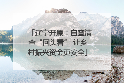 辽宁开原：自查清查“回头看” 让乡村振兴资金更安全