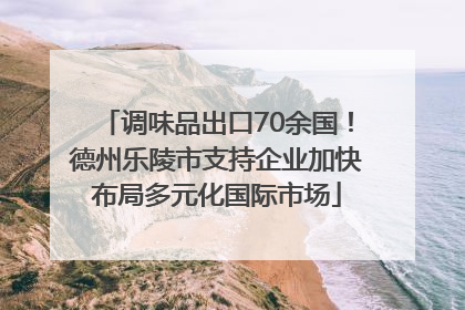 调味品出口70余国！德州乐陵市支持企业加快布局多元化国际市场