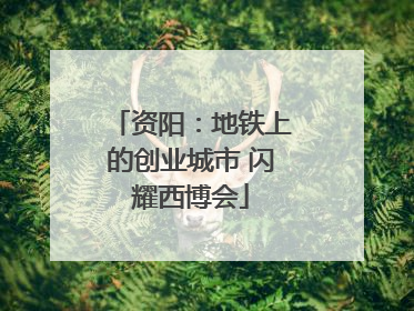 资阳：地铁上的创业城市 闪耀西博会