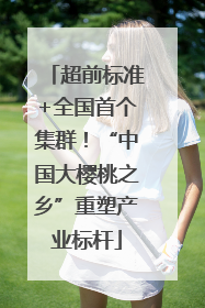 超前标准+全国首个集群！“中国大樱桃之乡”重塑产业标杆