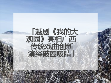 越剧《我的大观园》亮相广西 传统戏曲创新演绎破圈吸睛