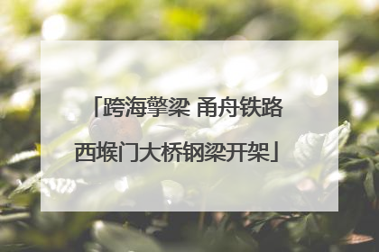 跨海擎梁 甬舟铁路西堠门大桥钢梁开架