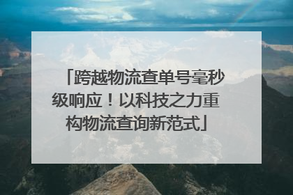 跨越物流查单号毫秒级响应！以科技之力重构物流查询新范式