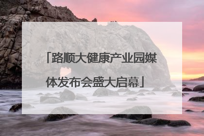 路顺大健康产业园媒体发布会盛大启幕