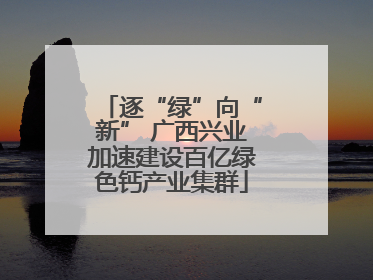 逐“绿”向“新” 广西兴业加速建设百亿绿色钙产业集群