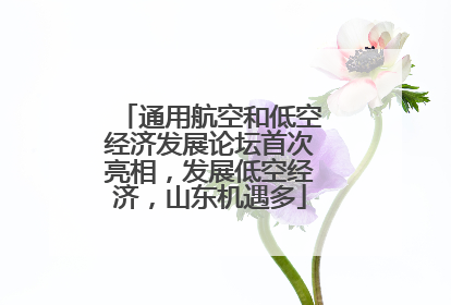 通用航空和低空经济发展论坛首次亮相，发展低空经济，山东机遇多