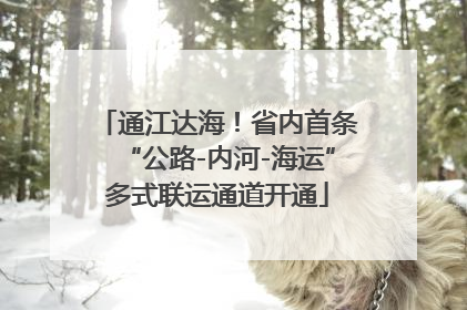 通江达海！省内首条“公路-内河-海运”多式联运通道开通
