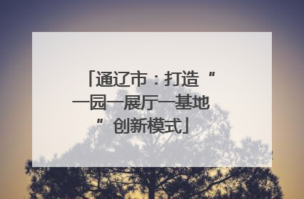 通辽市：打造“一园一展厅一基地”创新模式