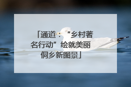 通道：“乡村著名行动”绘就美丽侗乡新图景