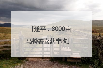 遂平：8000亩马铃薯喜获丰收