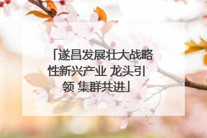 遂昌发展壮大战略性新兴产业 龙头引领 集群共进