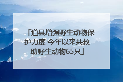 道县增强野生动物保护力度 今年以来共救助野生动物65只
